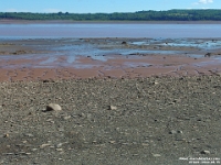 67020Le - Walking on the shale and slate on Blue Beach at low tide, Hantsport, NS.JPG